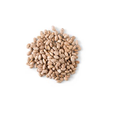 Pinto Beans